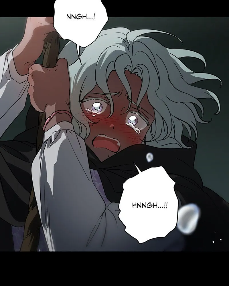 Read The Spark in Your Eyes EN Manga Online