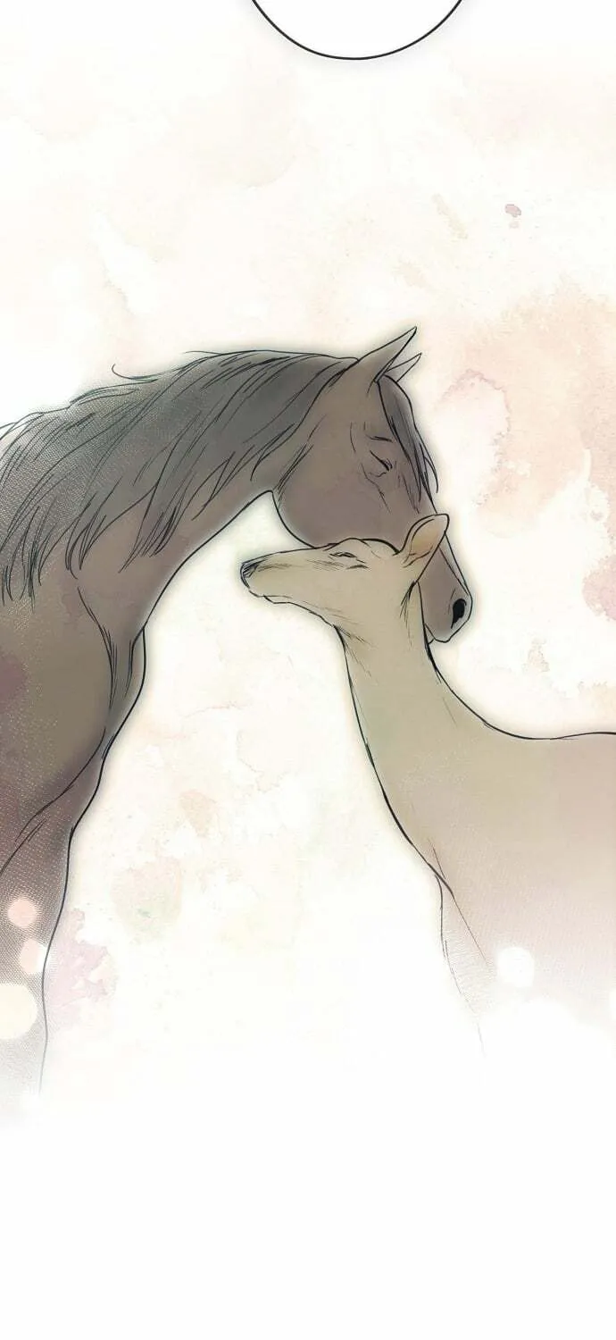 Read The Spark in Your Eyes EN Manga Online