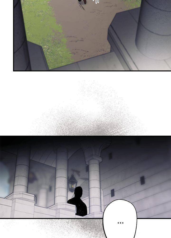 Read The Spark in Your Eyes EN Manga Online