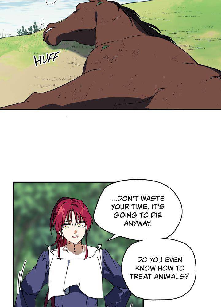 Read The Spark in Your Eyes EN Manga Online
