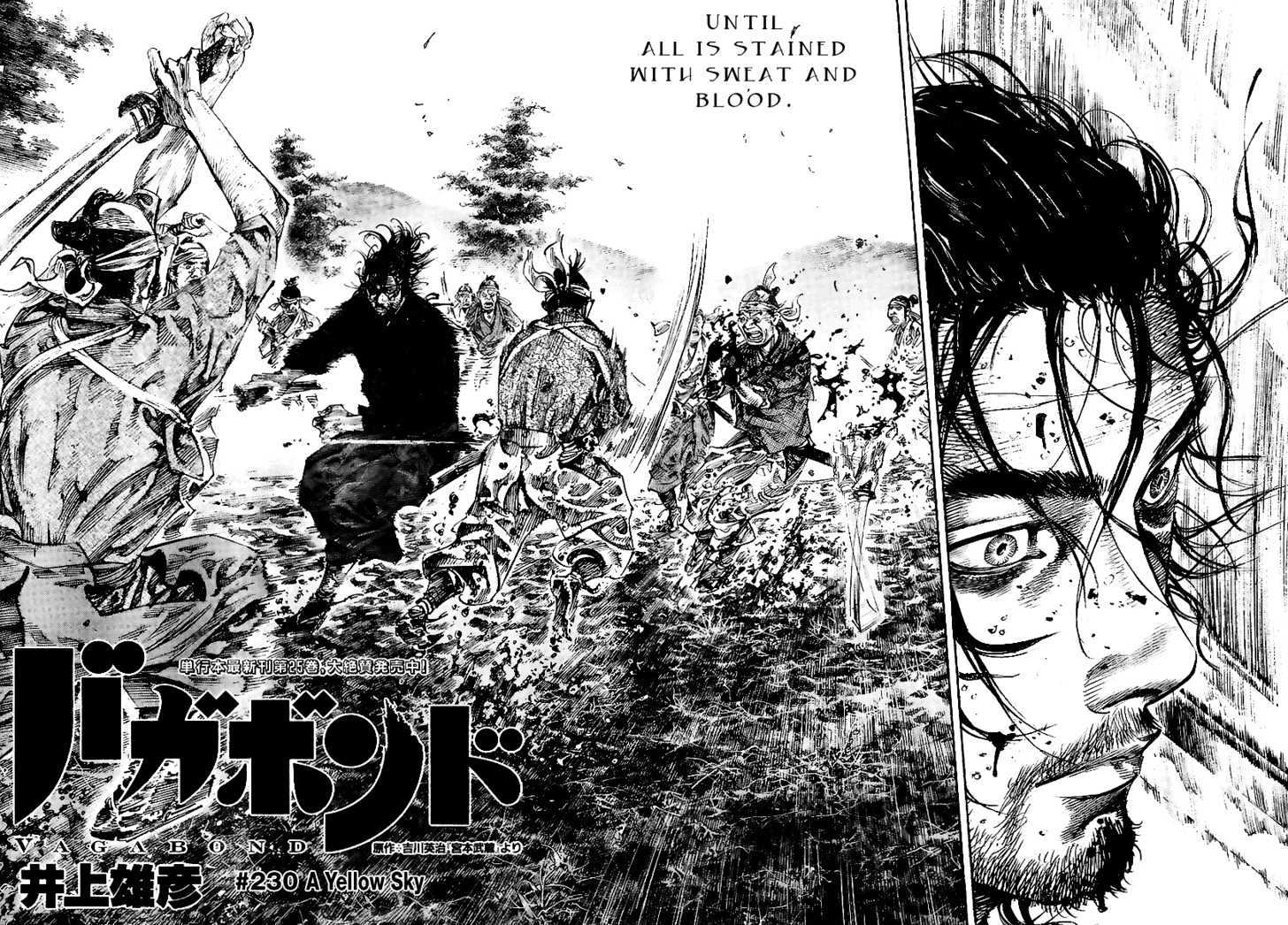 Read Vagabond EN Manga Online