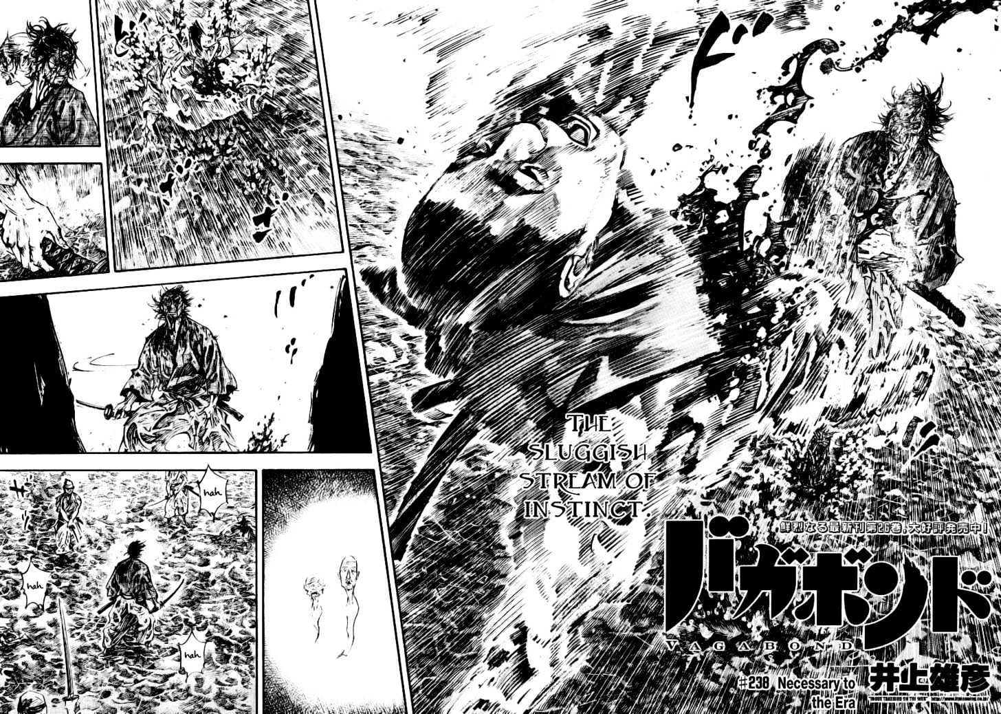 Read Vagabond EN Manga Online