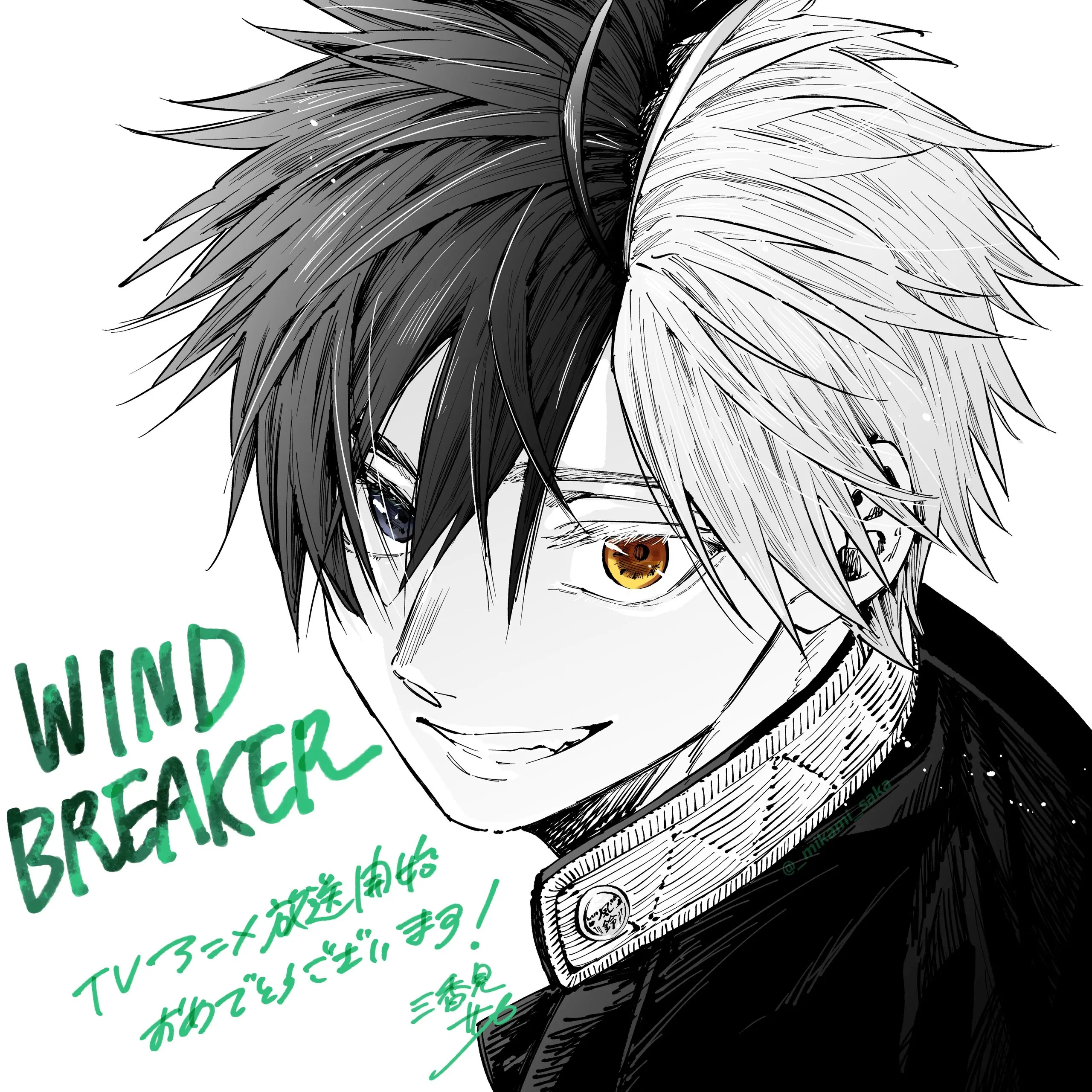 Read Wind Breaker EN Manga Online