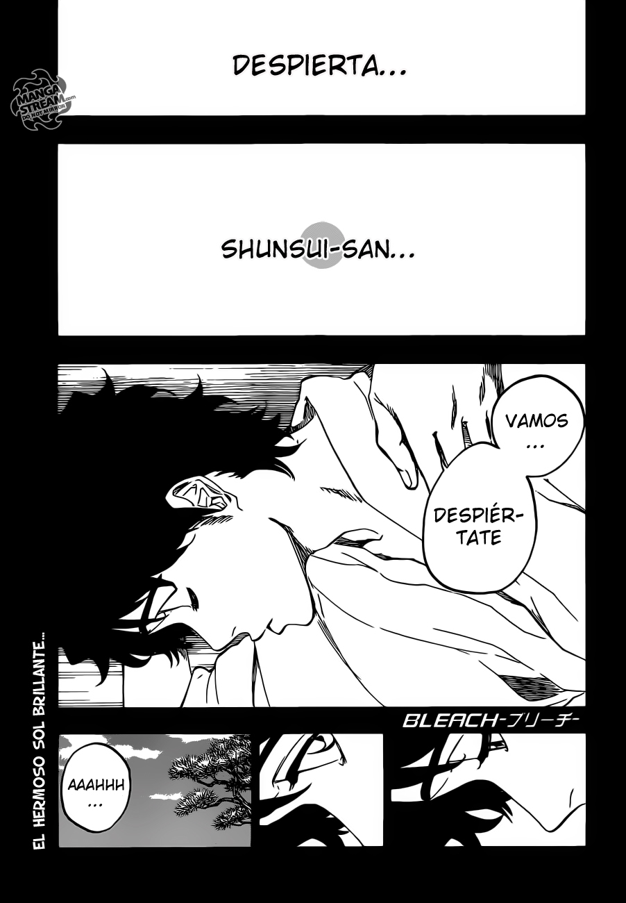 Read Bleach ES Manga Online