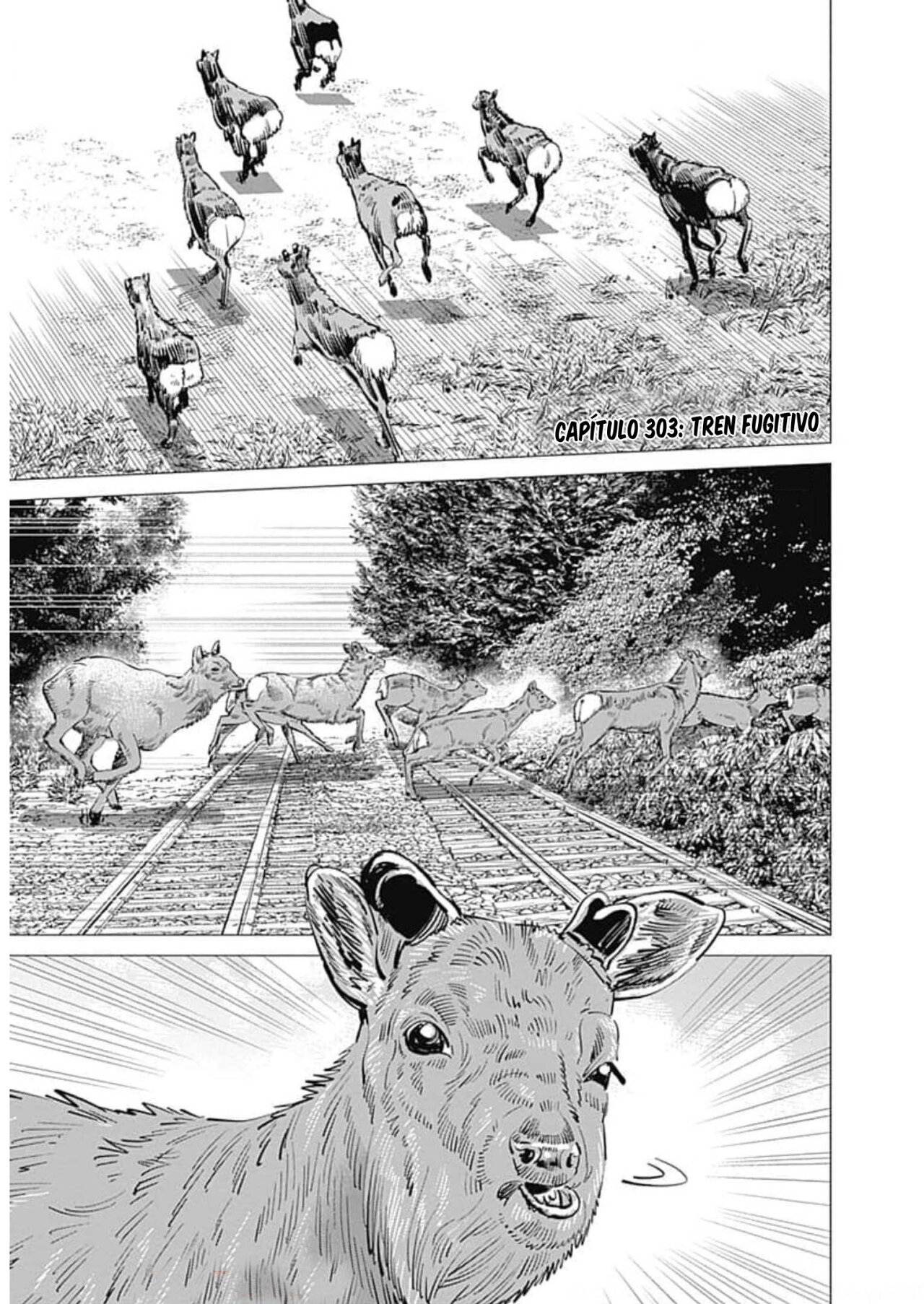 Read Golden Kamuy ES Manga Online