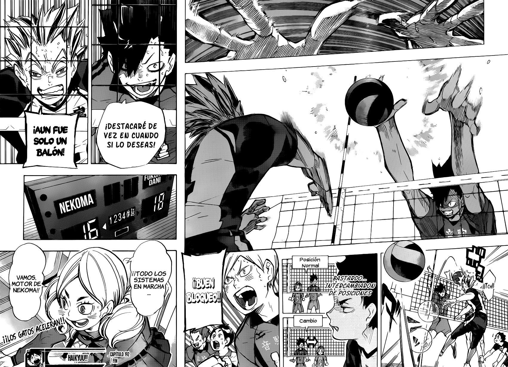 Read Haikyuu!! ES Manga Online
