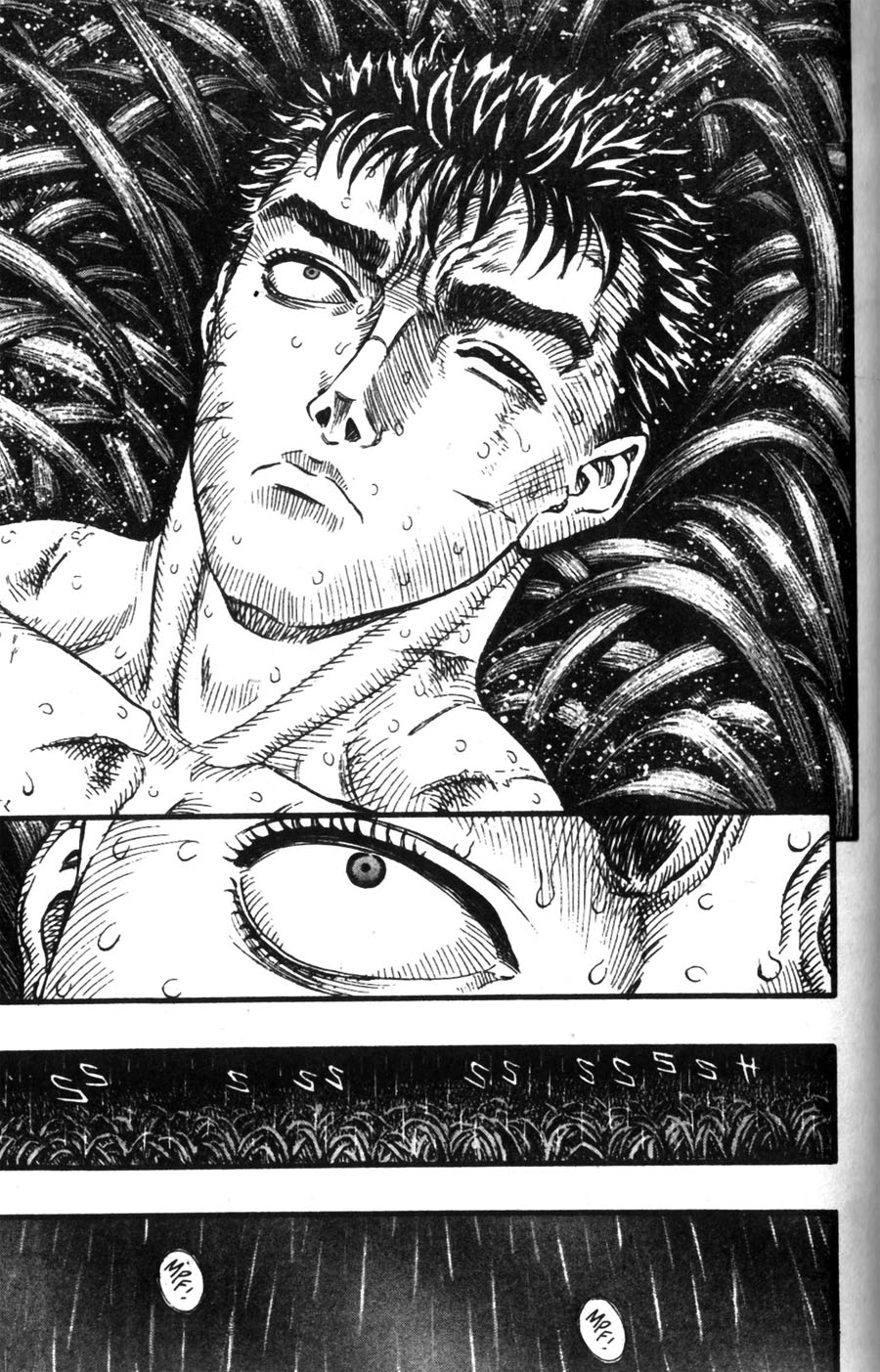 Read Berserk IT Manga Online