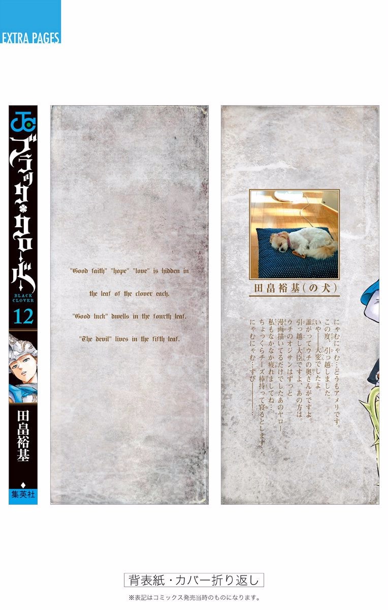 Read Black Clover IT Manga Online