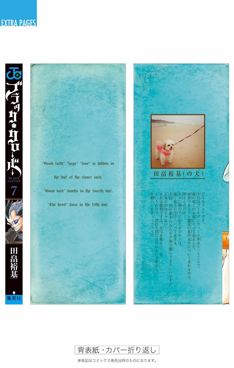 Read Black Clover IT Manga Online