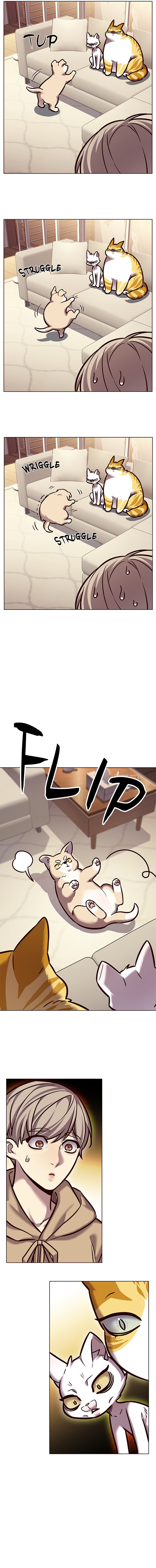 Read Eleceed IT Manga Online