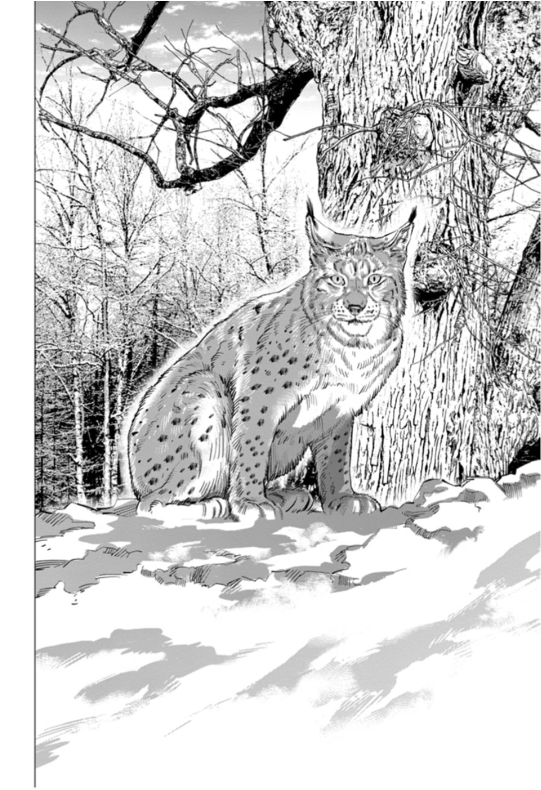 Read Golden Kamui IT Manga Online