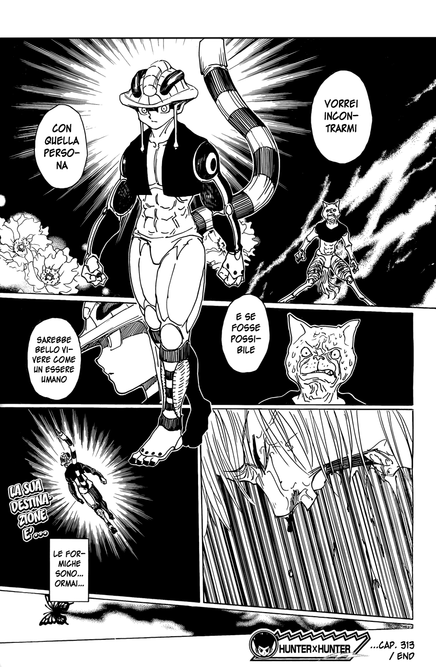 Read Hunter x Hunter IT Manga Online